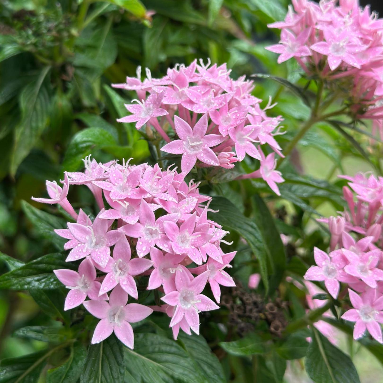Pousada Lagoa Do Rosa 普腊亚罗萨 外观 照片